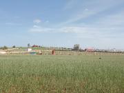 Terrain titré à vendre