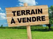 Terrain titré d'un hectare à vendre la Palmeraie
