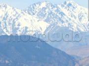 Terrain titré km21 route ourika 2ieme ligne