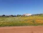 Terrain titré R3 futur R+5