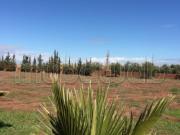 Terrain titré SA2 et chouiter Marrakech
