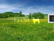 TERRAINS BORDEAUX/CAUDERAN 500 M2 POSSIBILITE DE PERMIS...