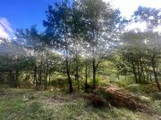 Terrains constructibles