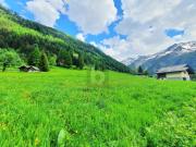 TERRAINS CONSTRUCTIBLES, AGRICOLES ET FORESTIERS