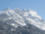 Terrains constructibles avec vue panoramiques à Gryon |...