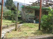 Terratetto in affitto a Camaiore