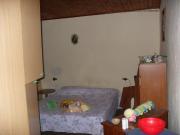 Terratetto in affitto a Camaiore