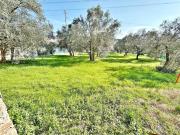 Terratetto in vendita a Calenzano 280 mq Rif: 1306013