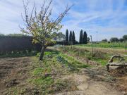 Terratetto in vendita a Cascina