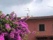 Terratetto in vendita a Colignola San Giuliano Terme 95...