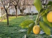 Terratetto in vendita a Comeana Carmignano 120 mq Rif:...