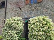 Terratetto in vendita a Gambassi Terme 125 mq Rif: 1304206