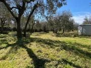 Terratetto in vendita a Montelupo Fiorentino 130 mq Rif:...