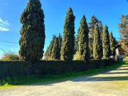 Terratetto in vendita a Montespertoli