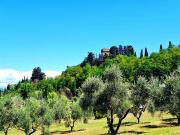 Terratetto in vendita a Montespertoli