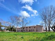 Terratetto in vendita a Pisa