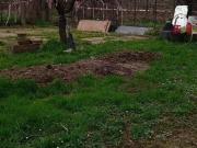 Terratetto in vendita a Prato