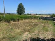 Terratetto in vendita a San Miniato
