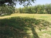 Terratetto in vendita a San Miniato