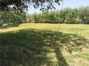 TERRATETTO ISOLA ISOLA 15 vani 480mq