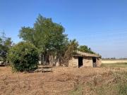 Terratetto unifamiliare in vendita a Ravenna