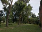 Terratetto unifamiliare in vendita a Ravenna