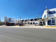 Terraza en Renta – Pabellón San Agustín, Xoxo Oaxaca