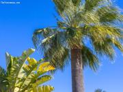 Terraza privada, a 350 m del mar