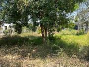 Terraza Pueblo Oacalco