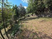 Terre ALES Languedoc Roussillon 30100 DS92406172