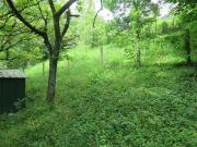 Terre ARGIS Rhône Alpes 01230 DLS82084071