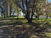 Terre Audenge Aquitaine 33980 DS95440026