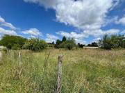 Terre Baigneaux Aquitaine 33760 ES99641097