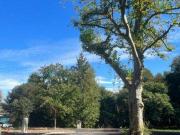 Terre BASSUSSARRY Aquitaine 64200 ES82471816