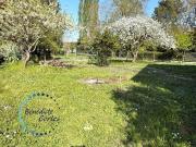 Terre BRETIGNY SUR ORGE Île de France 91220 DS87757961