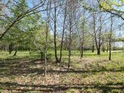 Terre CASTELJALOUX Aquitaine 47700 DS89443233