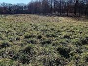 Terre Castelnau Midi 31620 ES99089242