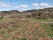 Terre Ferrieres sur Sichon Auvergne 03250 ES100223979