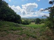 Terre Ganties Midi Pyrénées 31160 DLS93264330