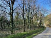 Terre Guer Bretagne 56380 DS95398686