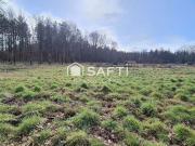 Terre La Magdelaine Midi 31340 DS99019172