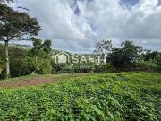 Terre La Trinite La Trinite 97220 DS94473819