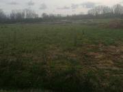 Terre Louhans Bourgogne 71500 DS96309681