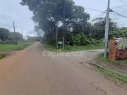 Terre MATOURY Bourgogne 97351 DS90606065