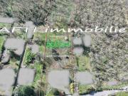 Terre Moisson Île de France 78840 DLS96390316