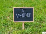 Terre Montpellier Poitou 17260 DS100683750