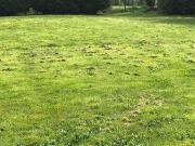 Terre Petit Mars Pays de la Loire 44390 DLS98474509