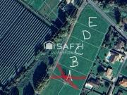 Terre Saint Aquitaine 24130 DS98501714