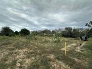 Terre Saint Languedoc 66510 ES99928358