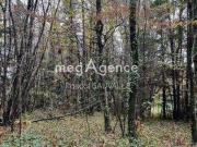 Terre Saint Leon Sur l'Isle Aquitaine 24110 DS96822265